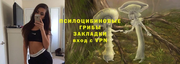 дурь Алексин