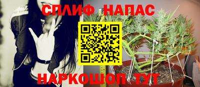 шишки Дубна