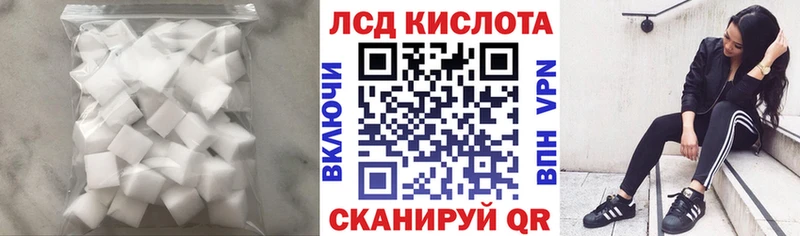 дарнет шоп  Ленинск-Кузнецкий  ЛСД экстази кислота 