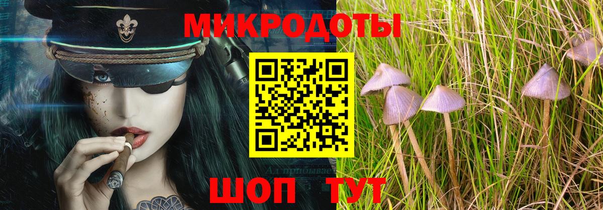 Галлюциногенные грибы мухоморы Ленинск-Кузнецкий