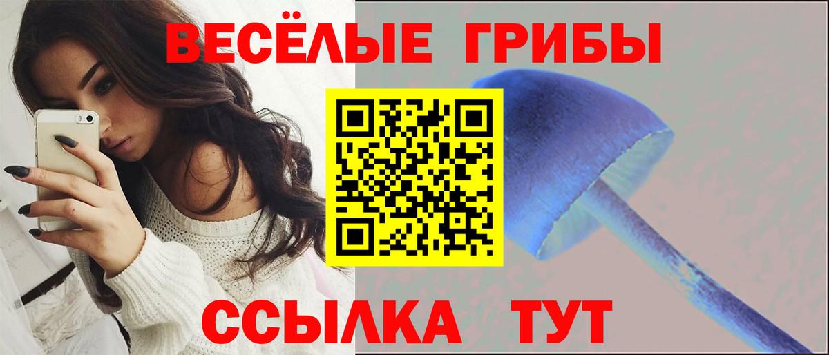 Псилоцибиновые грибы прущие грибы  Псилоцибиновые грибы прущие грибы  Ленинск-Кузнецкий  Вход с VPN 